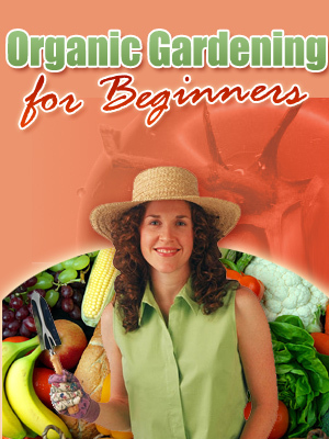 Product picture Organic Gardening For Beginners PLR MRR $1.49